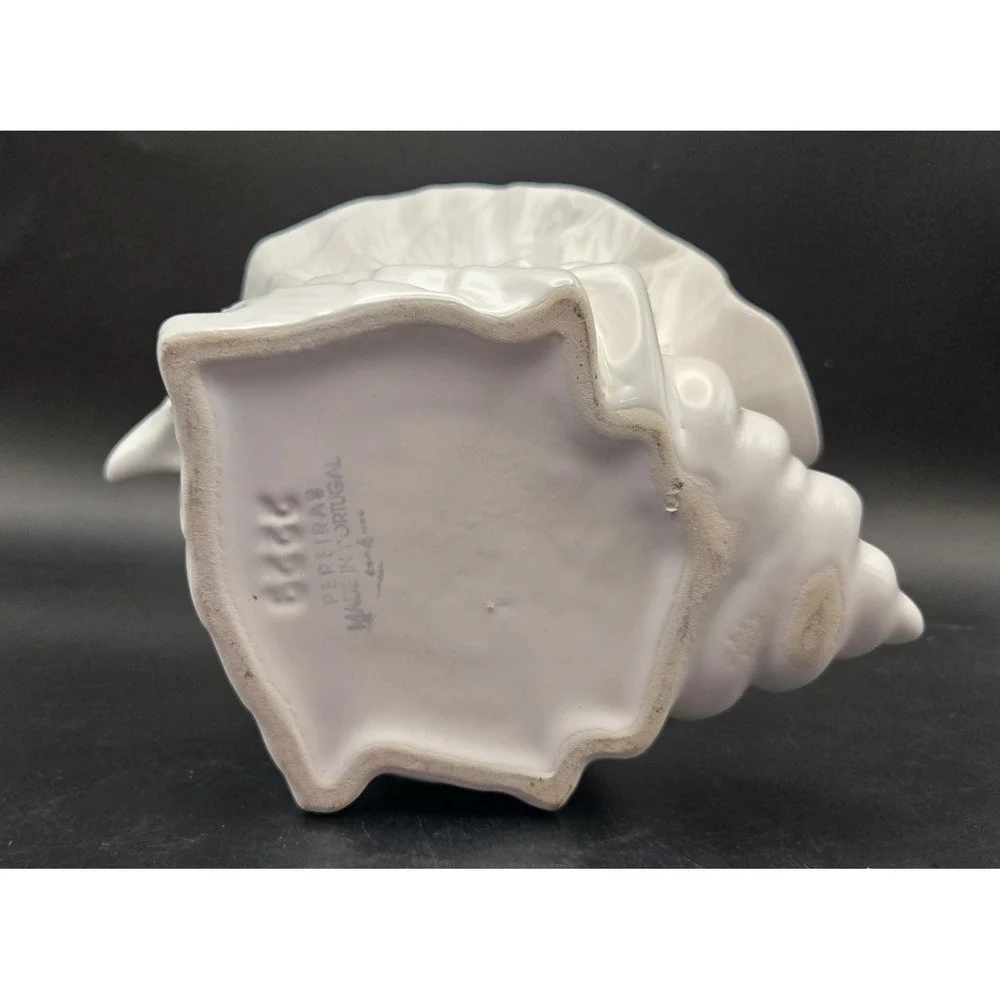 Pereias rare conch